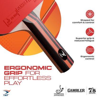 Rally Pro Table Tennis Set