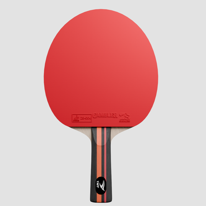 Rally Pro Table Tennis Racket - Cover Bag Included