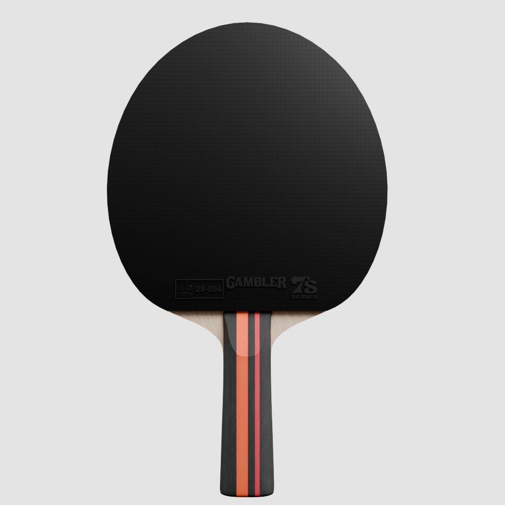 Rally Pro Table Tennis Set
